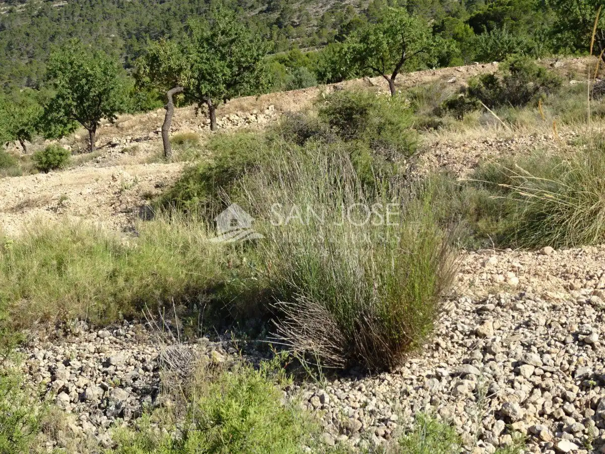 Terreno rústico en venta en Hondón de las Nieves / El Fondó de les Neus, imagen 8