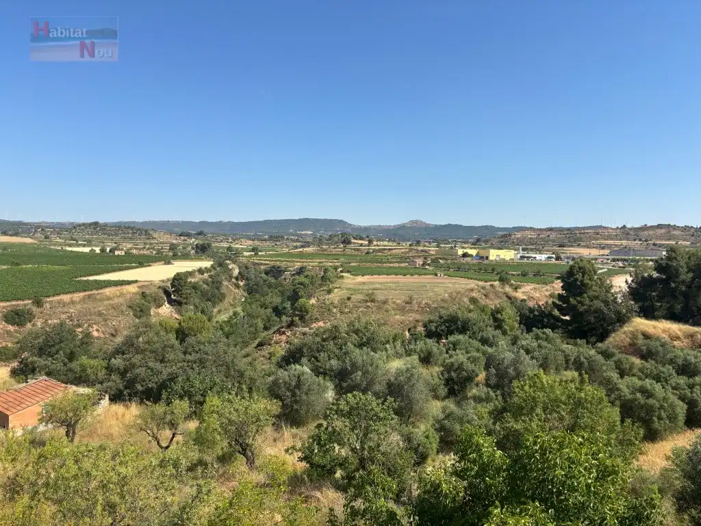 Country homes for sale in Carretera Cabra Del Camp Ua15, Sarral