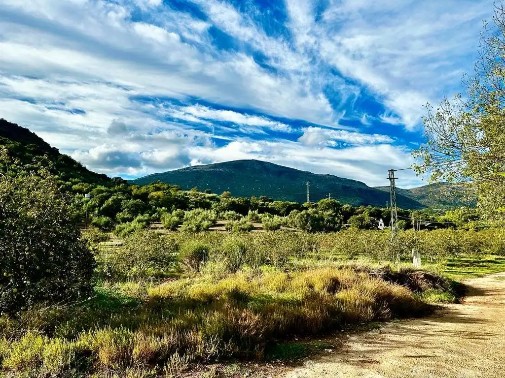 Vista exterior de Finca rústica en venda en Carcabuey amb Calefacció, Traster i Piscina