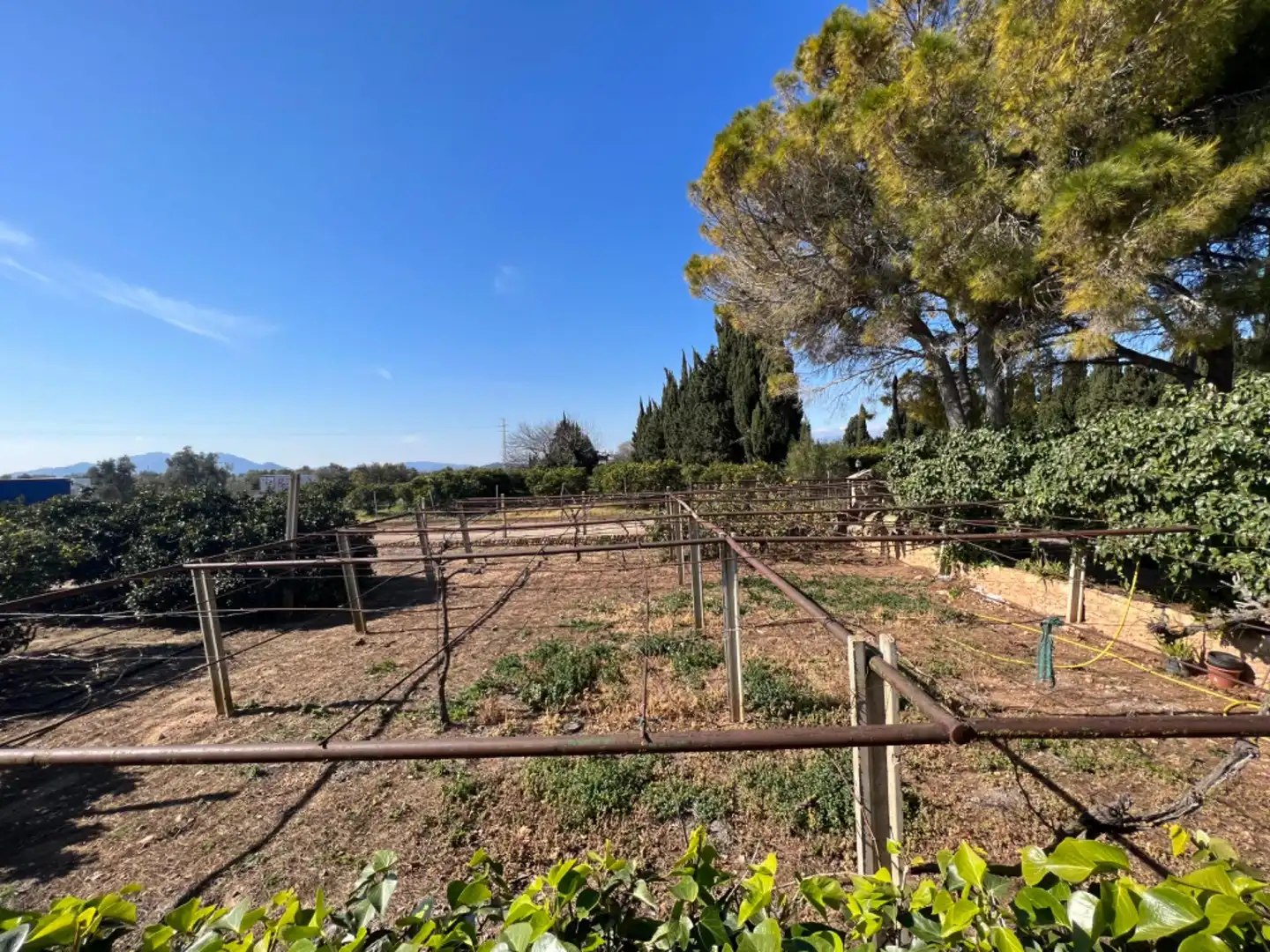 Casa con terrazza in vendita a L'Aldea, imagen 26