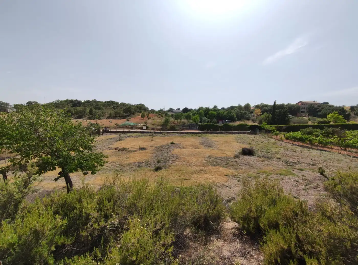 Terreny residencial en venda a Loranca de Tajuña, imagen 34