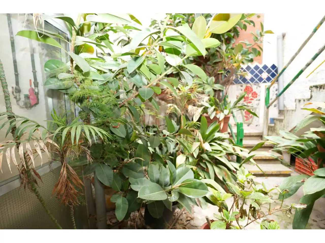 Terreno rústico en venta en Vinyets - Molí Vell, imagen 3