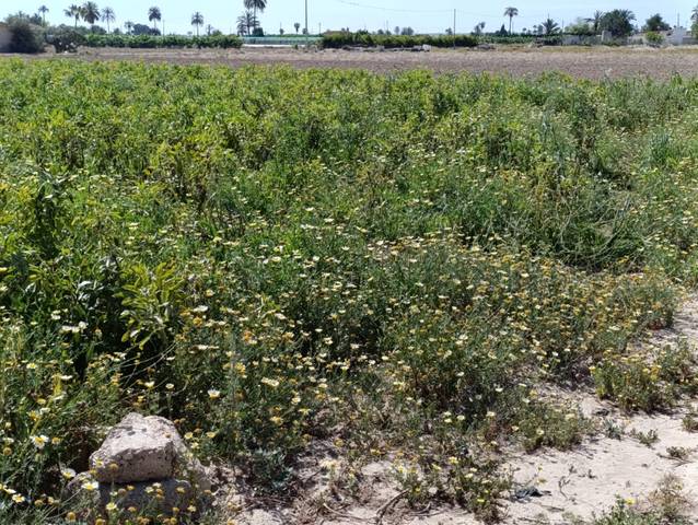 Terreno en Venta en Algorós - El Derramador