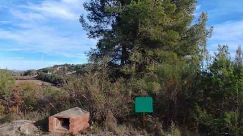 MEDIONA (Barcelona). c/ Xiprers, 28 (La Font del Bosc)., immagine 3