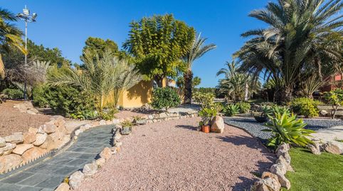 Chalet independiente en Elche, zona la Baya Alta., imatge 4