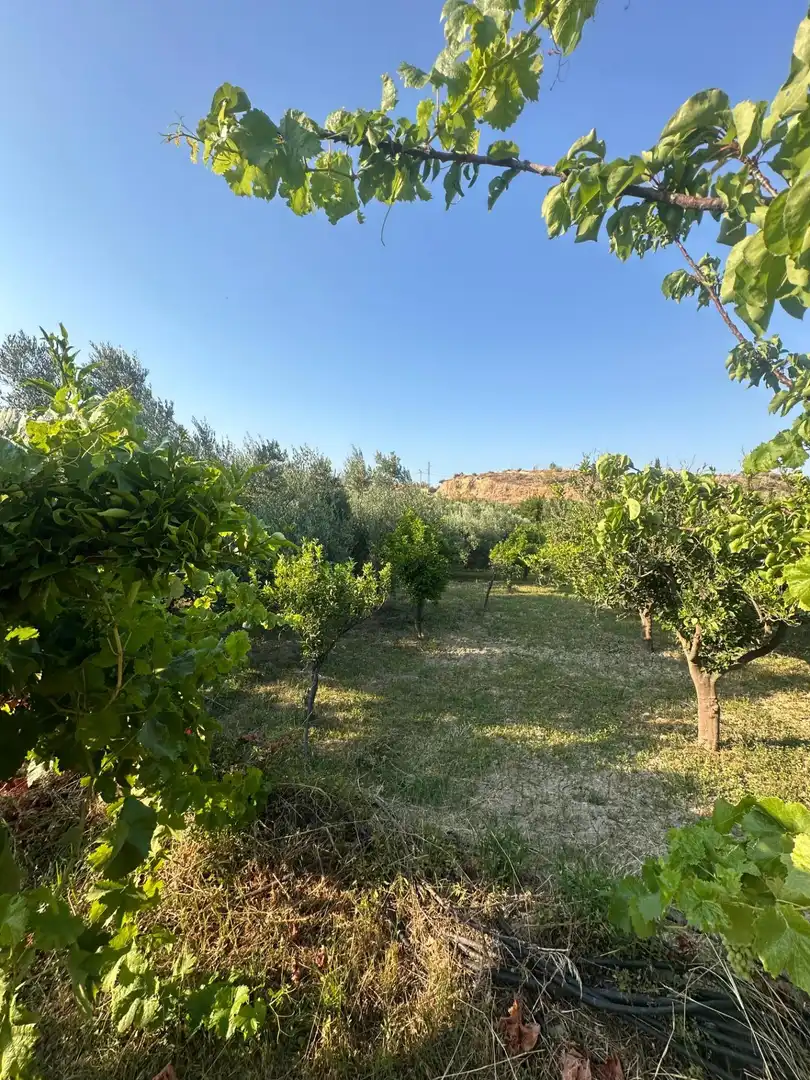 Finca rústica en venta en Olula del Río