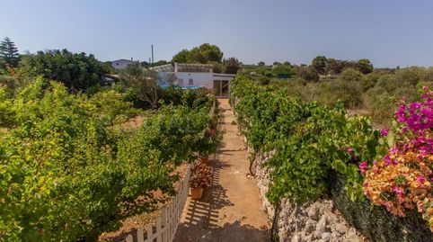 Foto 5 de Finca rústica en venta en Sant Lluís - S'Ullestrar - Torret, Sant Lluís