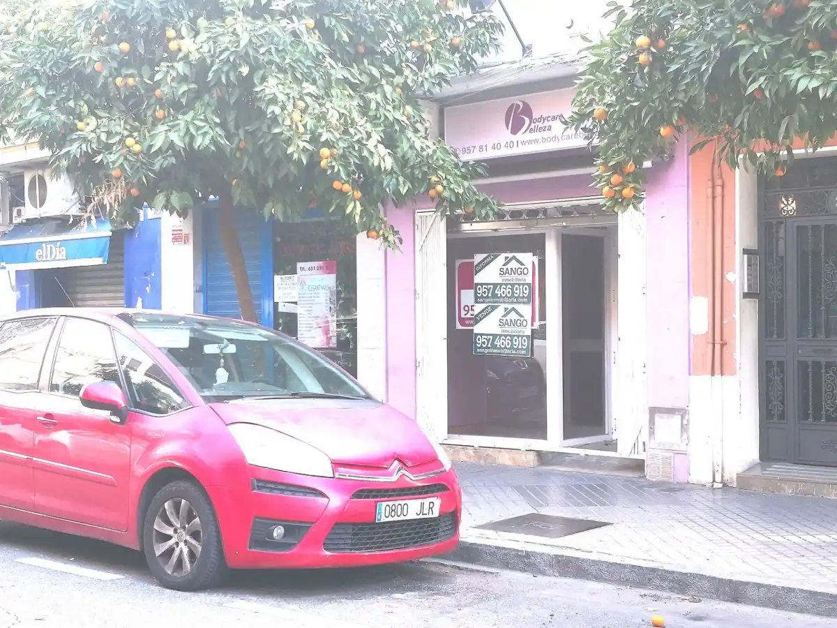 Business premises for sale in Poniente-Sur, imagen 7