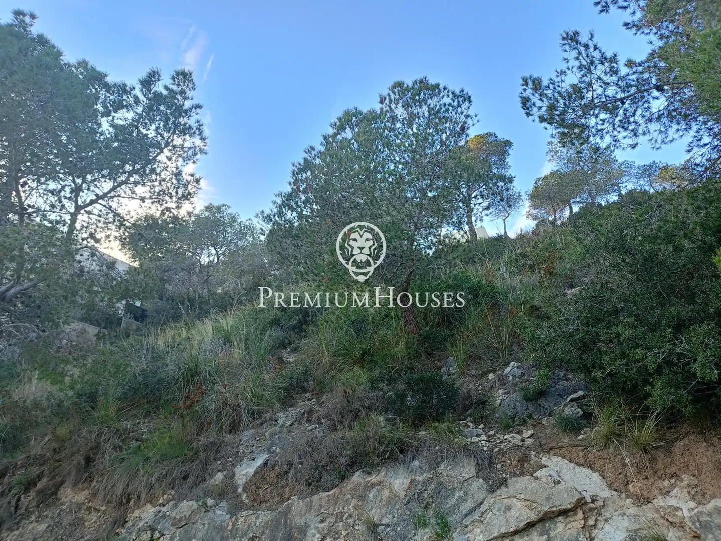 Terreny residencial en venda a Llevantina - Montgavina - Quintmar, imagen 9