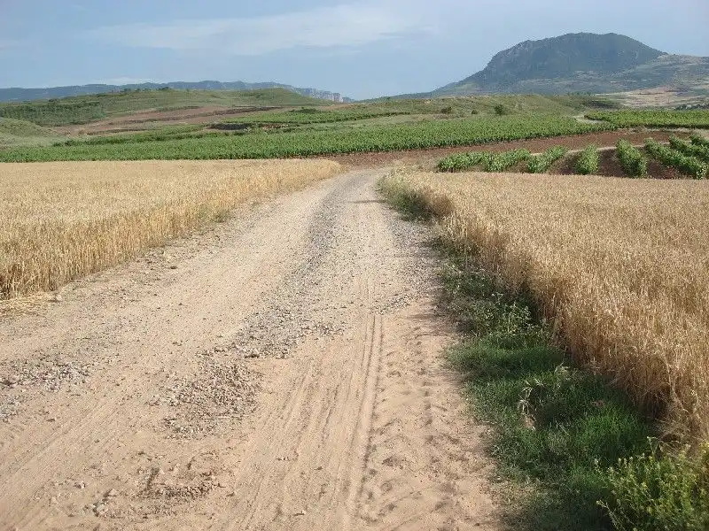 Terreny rústic en venda a Villamediana de Iregua, imagen 3