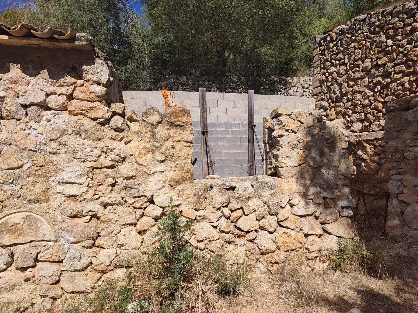 Terreny rústic en venda a Andratx pueblo, imagen 9