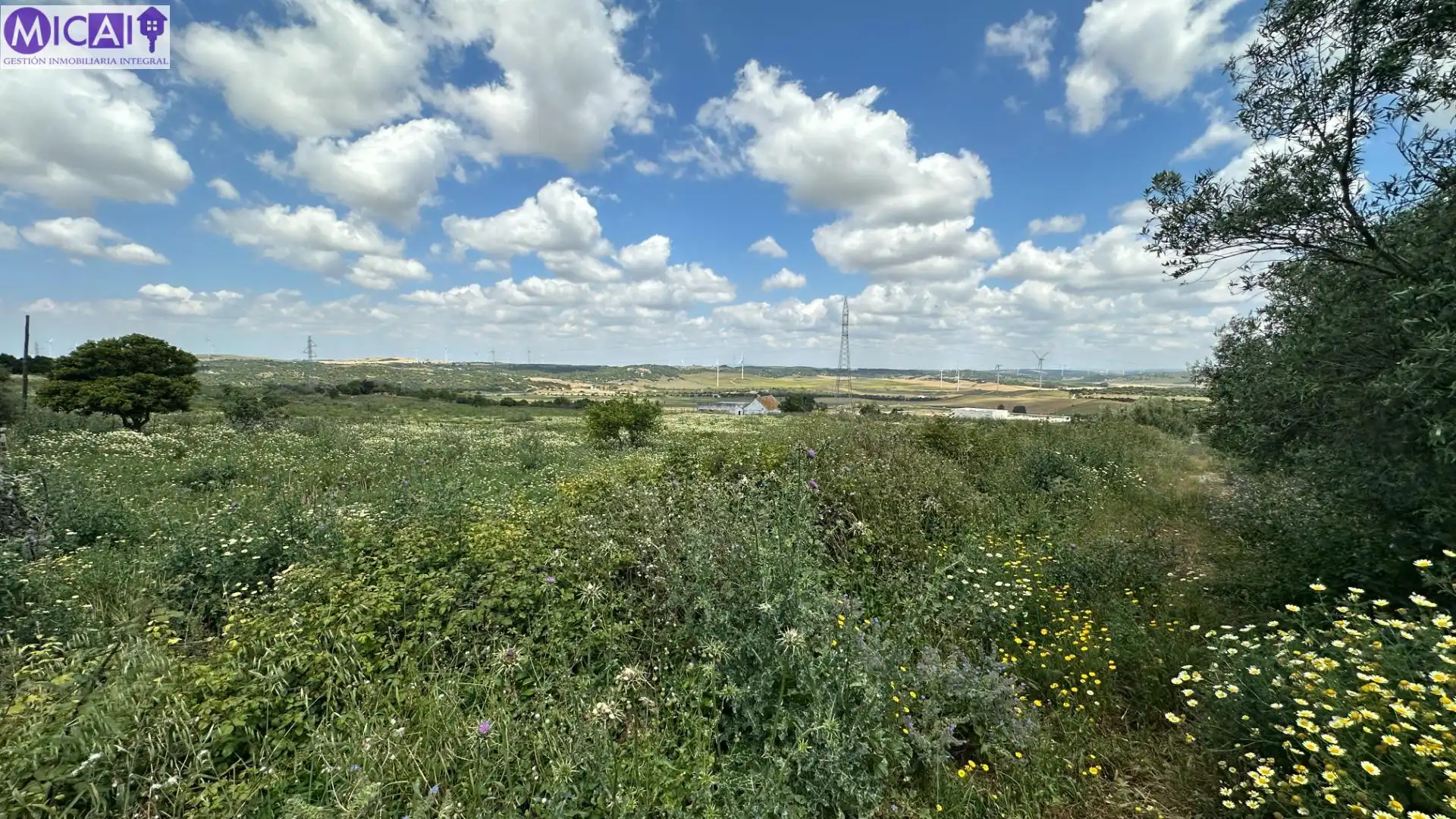 Terreny rústic en venda a Medina Sidonia, imagen 20