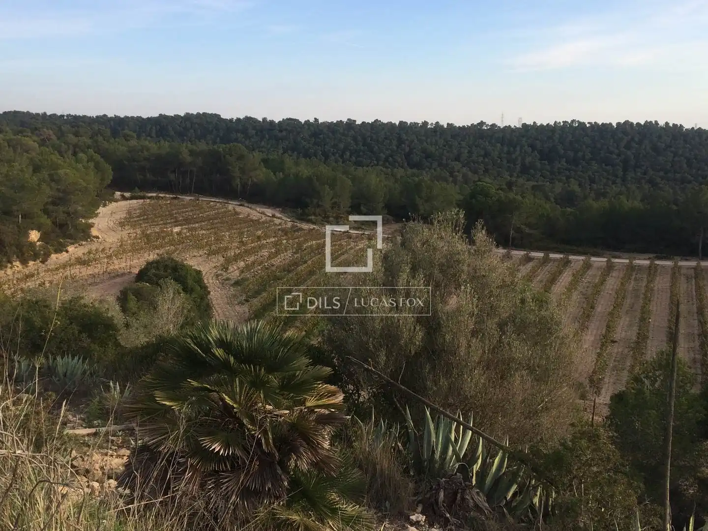 Casa rustica in vendita a Castellet i la Gornal, imagen 18