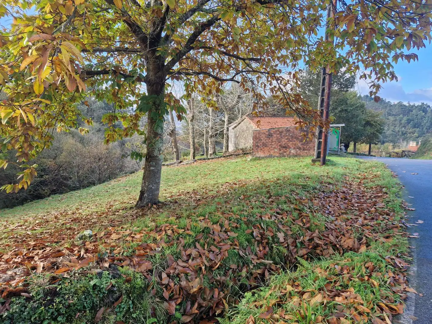 Grundstücke und Bauplätze zum Verkauf in Padrón, imagen 2