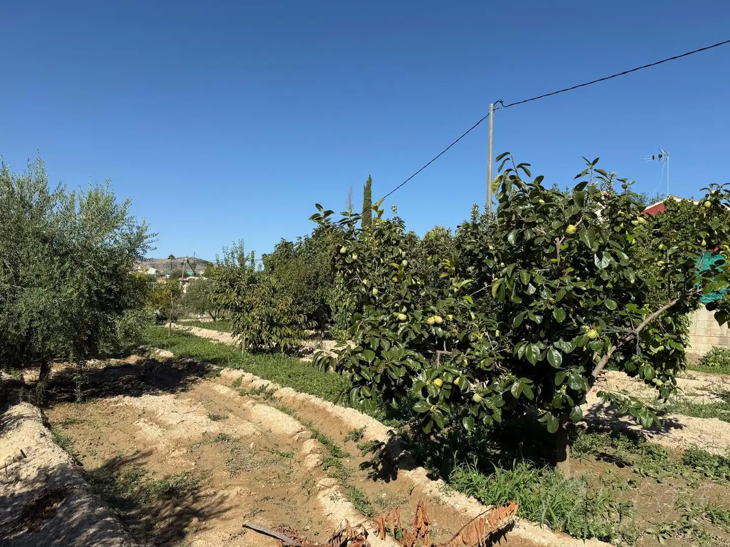 Villa avec terrasse à vendre à Carretera de Murcia 13, imagen 8
