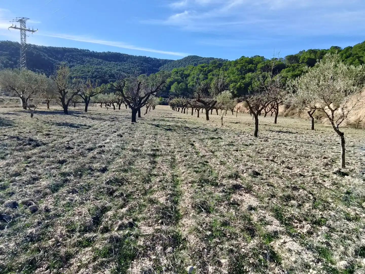 Terreno rustico in vendita a Carrer la Creu, imagen 33
