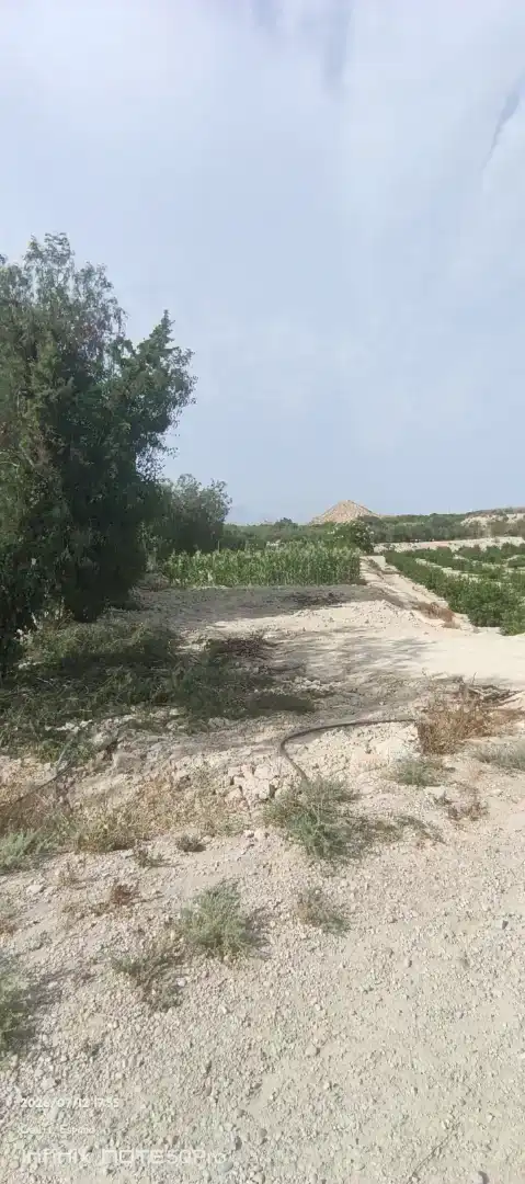 Finca rústica en venda en Cieza