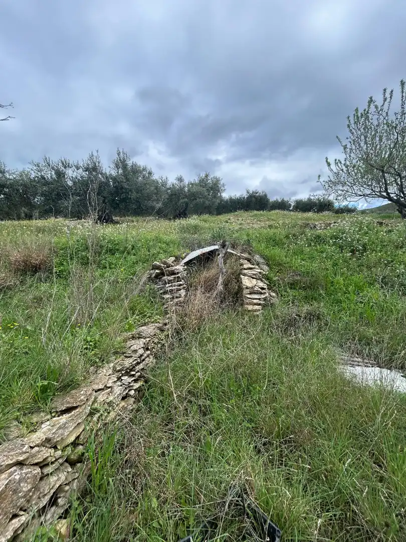 Land for sale in Biure