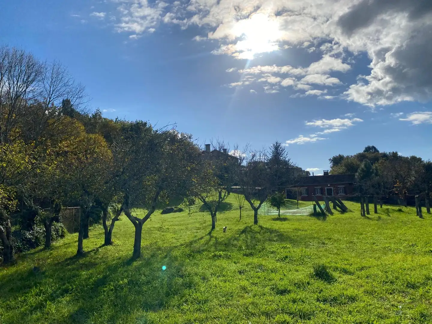 Jardín de Casa o chalet en venta en Caldas de Reis