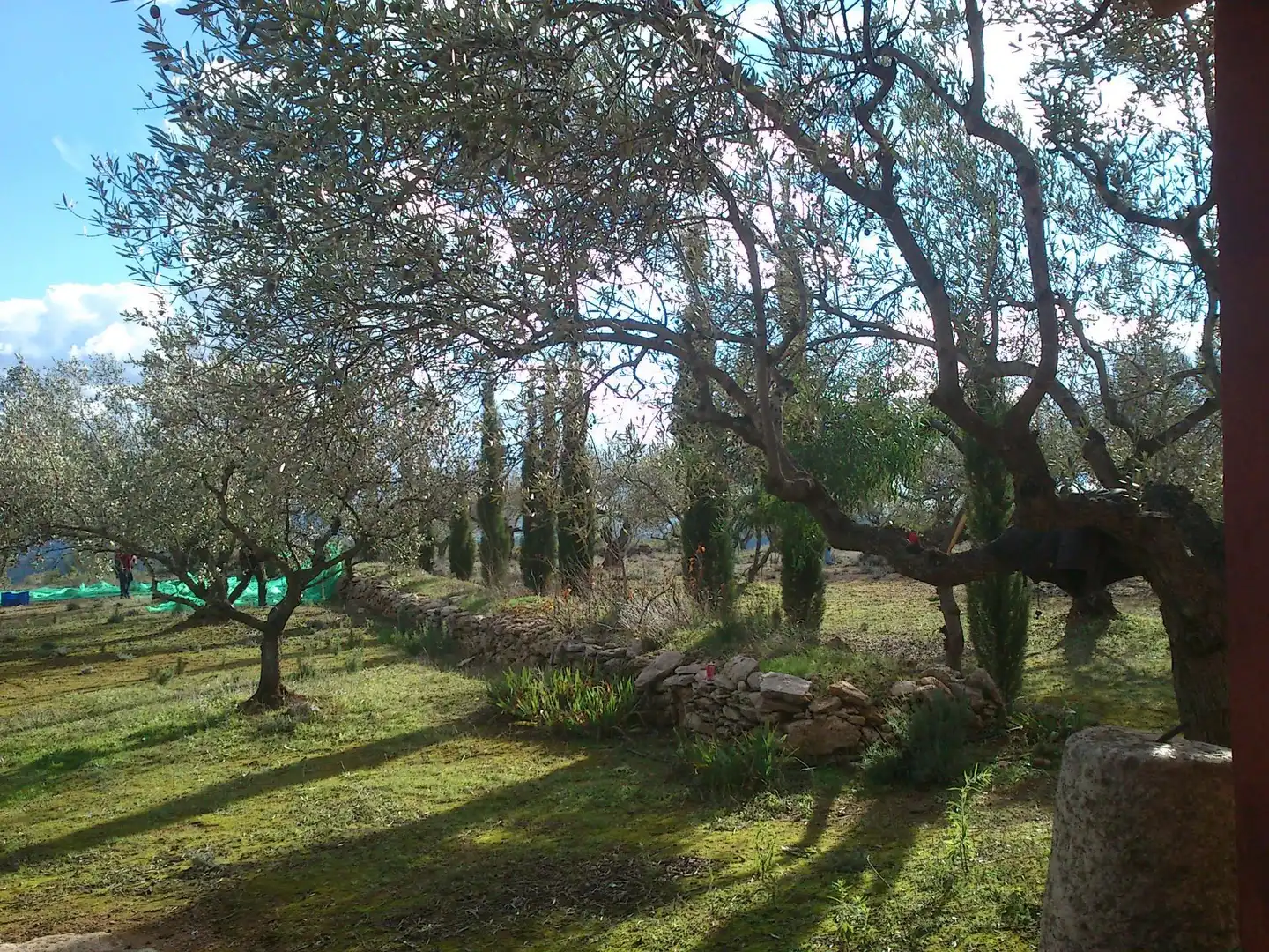 Jardín de Finca rústica en venta en Enguera con Calefacción, Jardín privado y Terraza