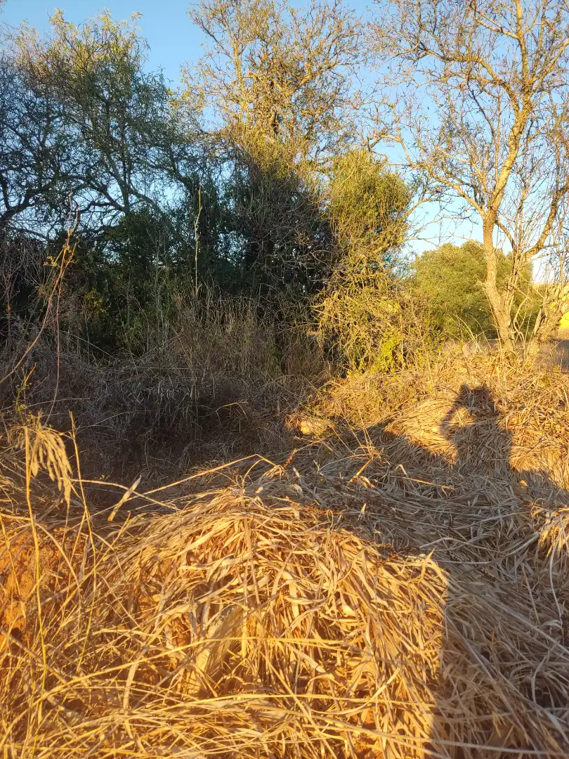 Terreno en venta en Conil de la Frontera
