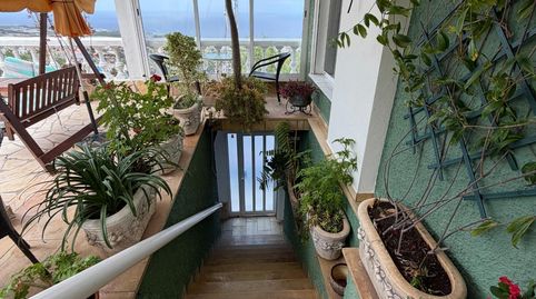 Foto 4 de Casa o xalet en venda a Arico, Tejina, San Cristóbal de la Laguna