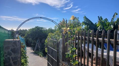 Foto 4 de Finca rústica en venda a Avda Pescia - Ctra de Frigiliana, Málaga