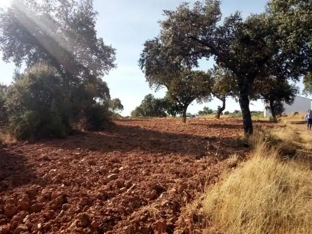 Terreny residencial en venda a Villanueva del Duque, imagen 15