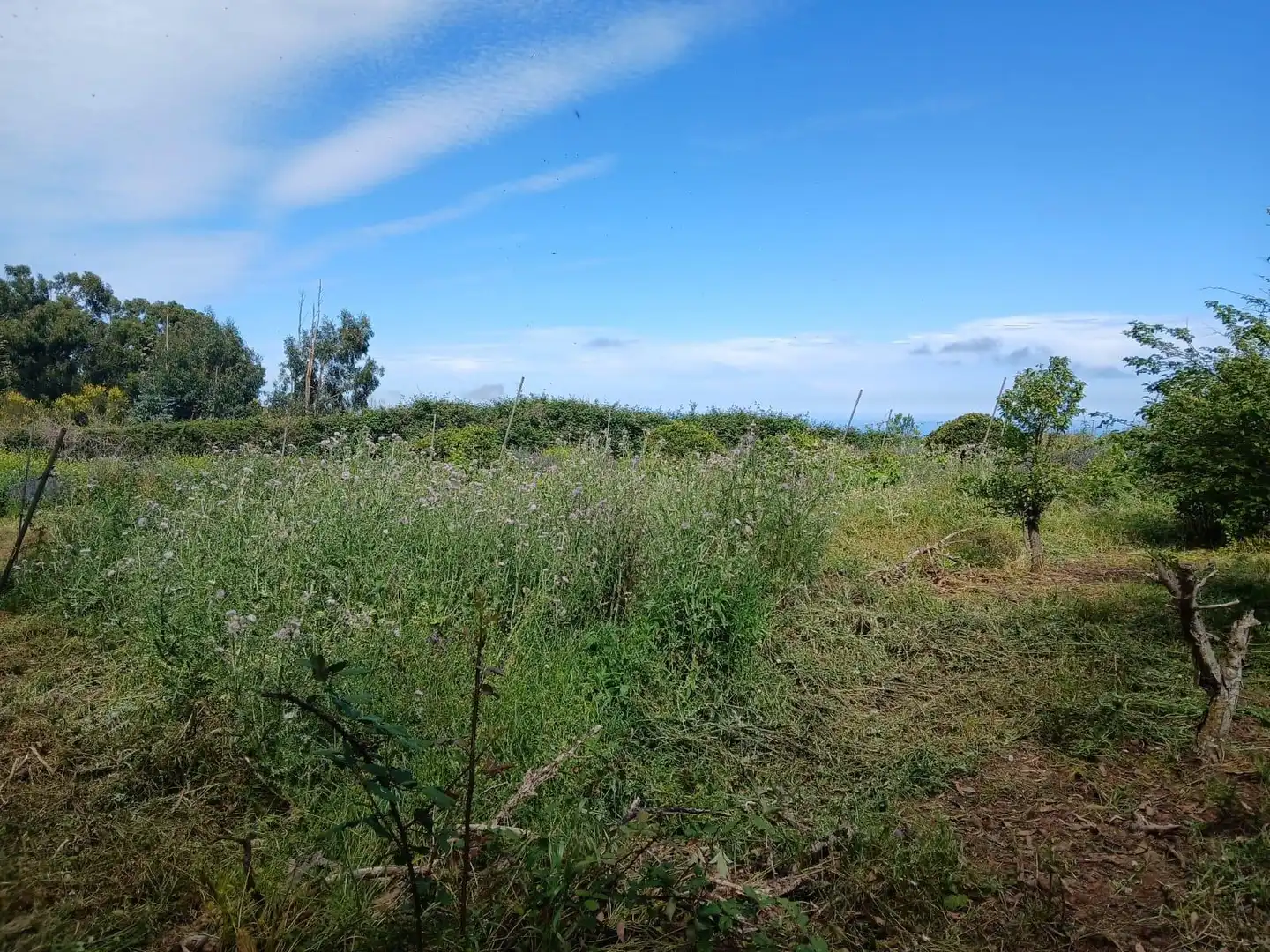 Finca rústica en venta en El Rosario con Jardín privado, Terraza y Alarma