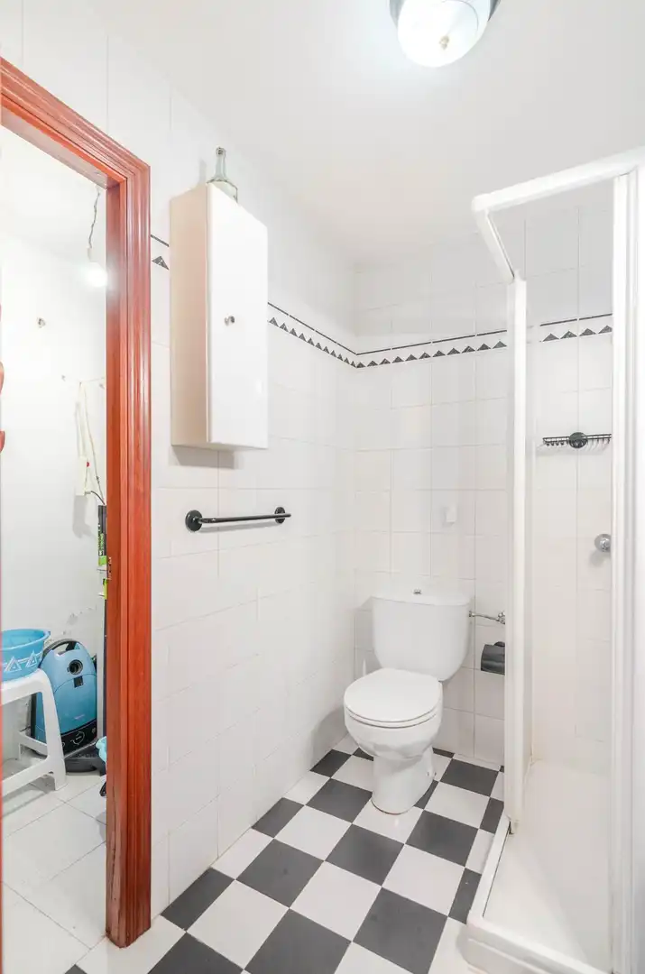 House with terrace for sale in Carretera DE PIÑERA A SAN CRISTOBAL 2354, imagen 29