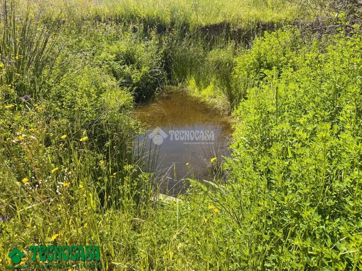 Land for sale in La Torre de Esteban Hambrán