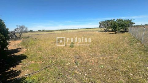 Foto 3 de Casa o chalet en venta en Layos, Polán, Toledo