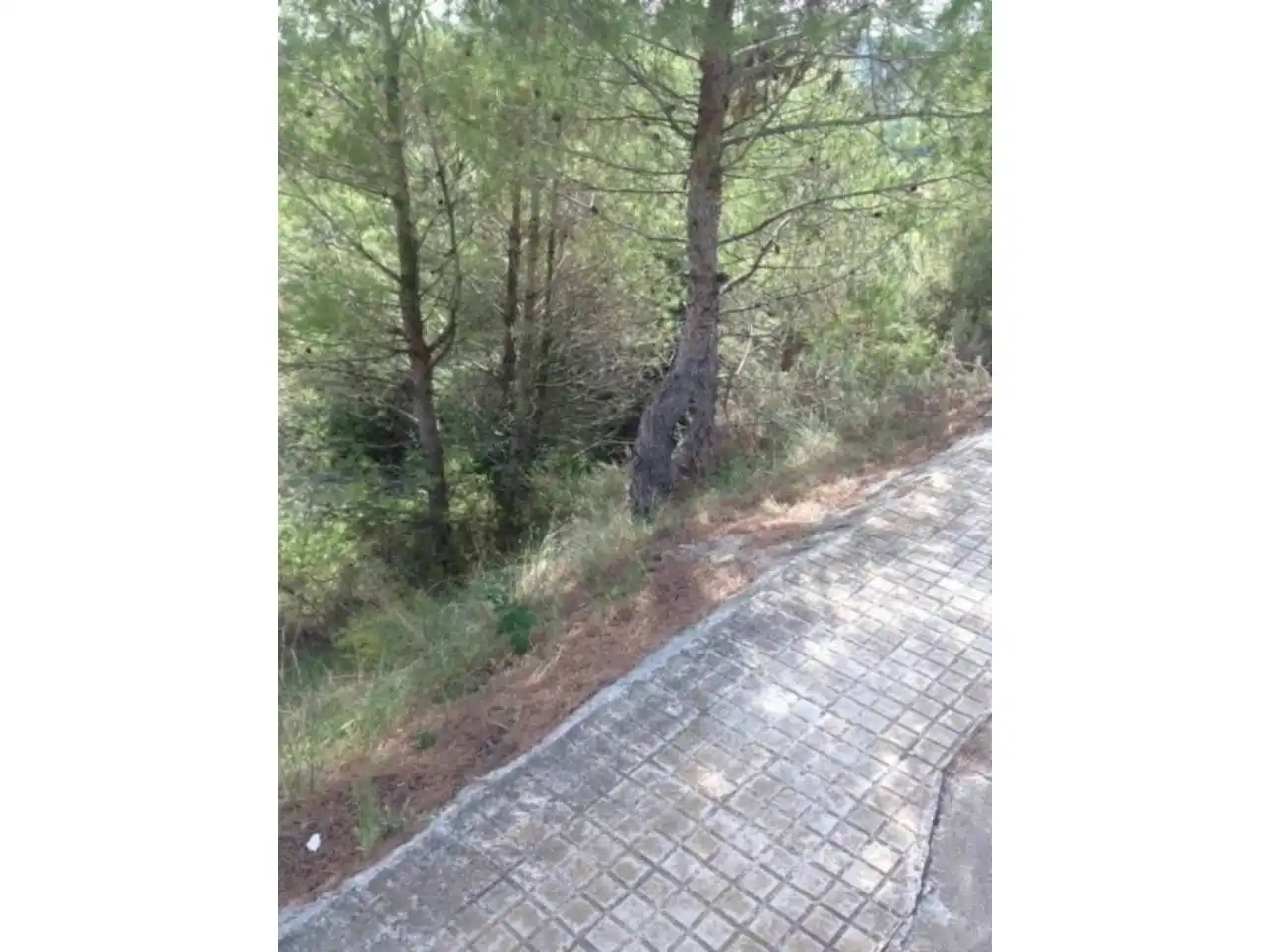 Terreny residencial en venda a Carrer del Mirador, imagen 2