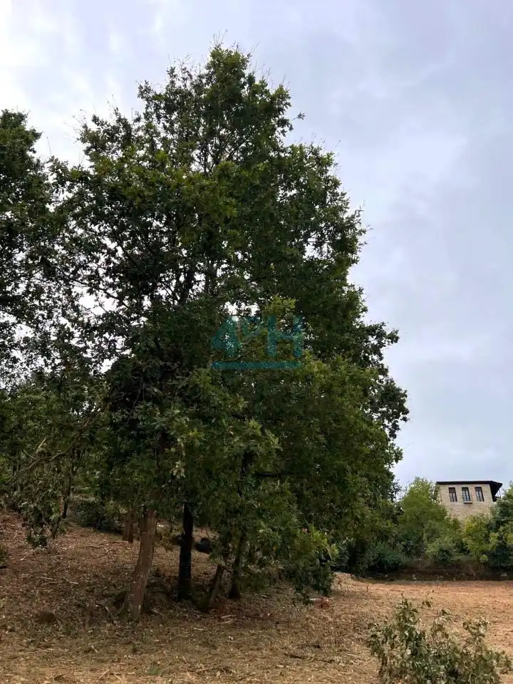 Residencial en venta en Barbadás