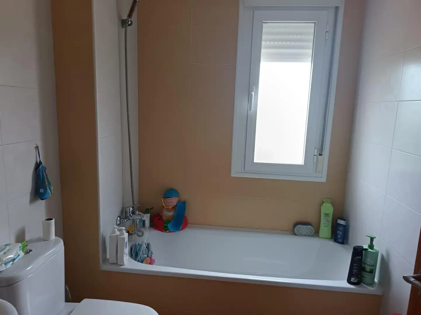 Bathroom of Flat for sale in Argamasilla de Calatrava  with Heating, Private garden and Terrace