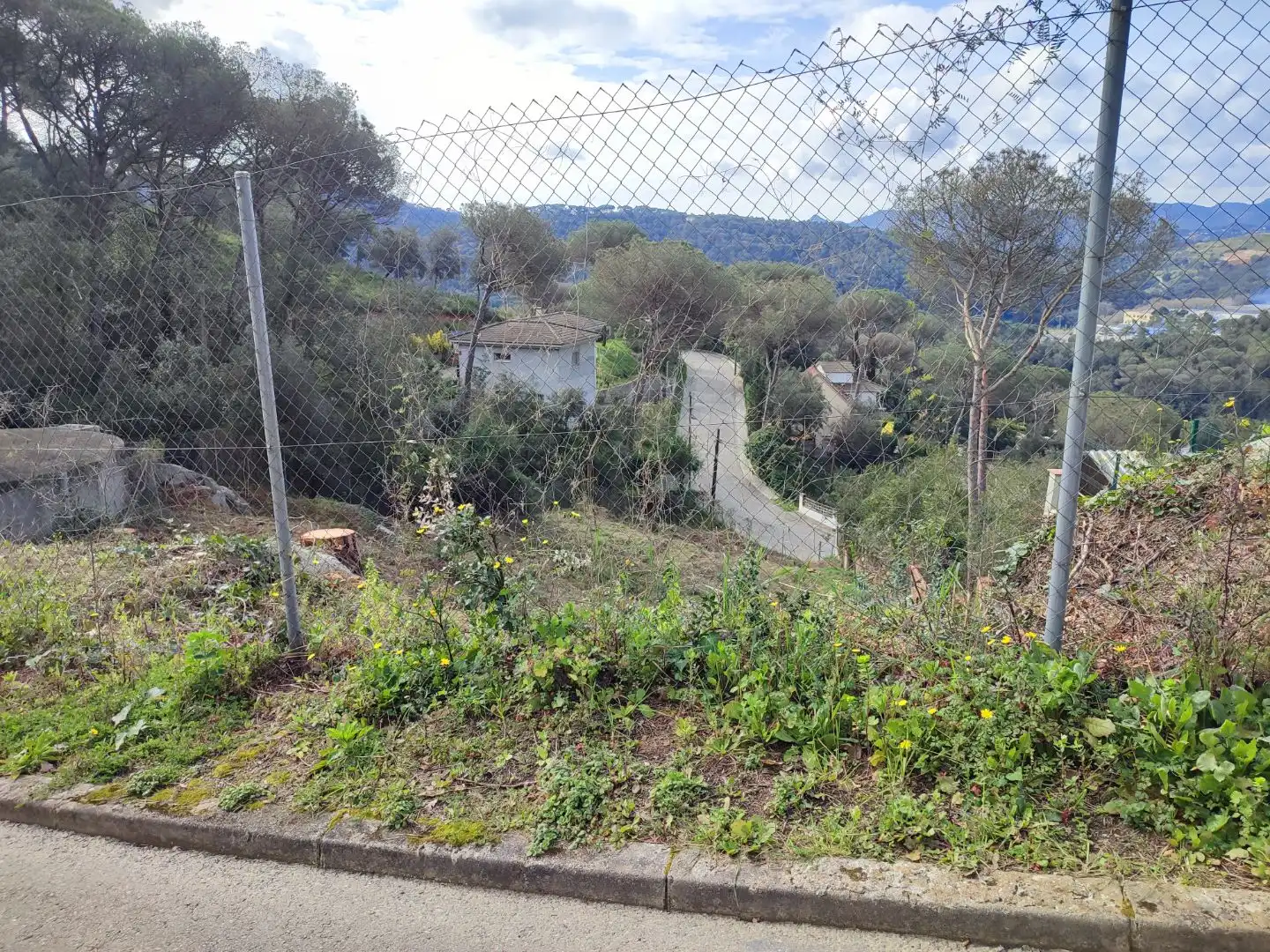 Terreny residencial en venda a mil pins 55, imagen 3
