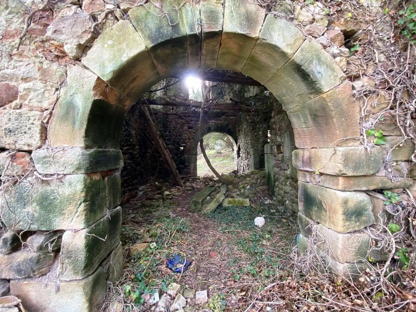 Terreno rustico in vendita a Tazones - Argüero, imagen 15