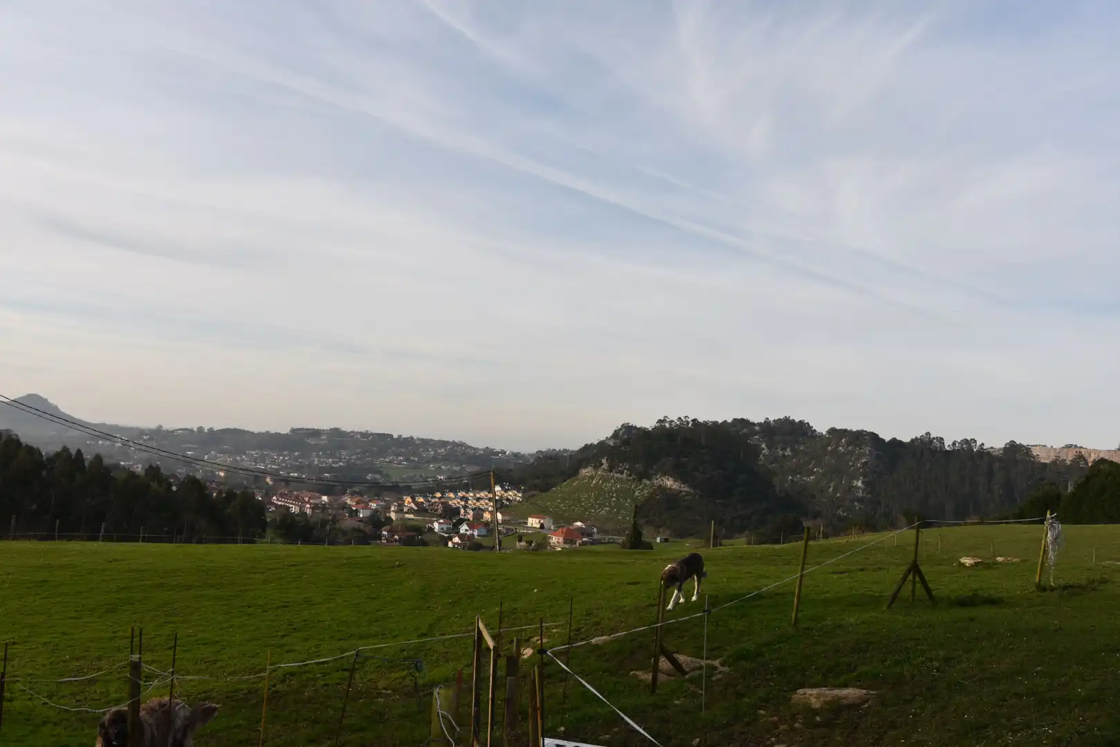 Vista exterior de Finca rústica en venta en Piélagos con Jardín privado