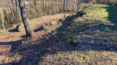 Finca 2.300 m2 garrotxa, immagine 3