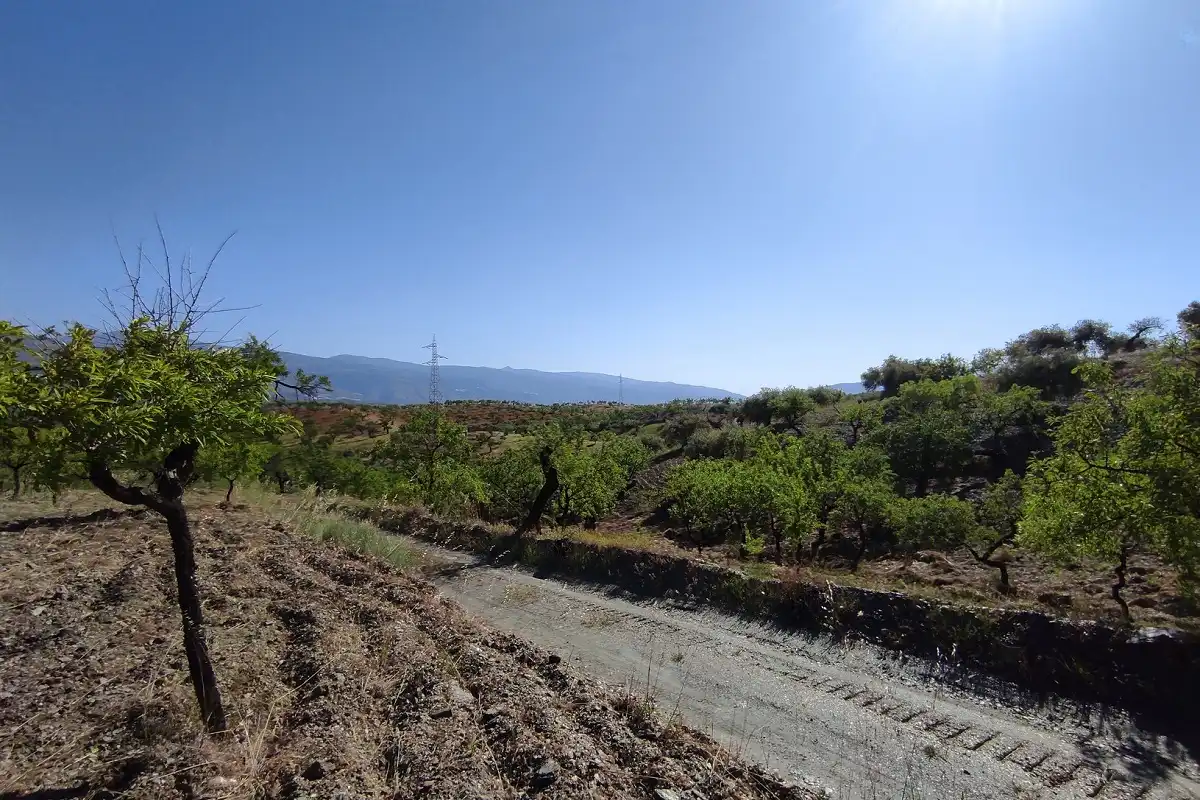 Grundstücke und Bauplätze zum Verkauf in Pr Monte, imagen 11