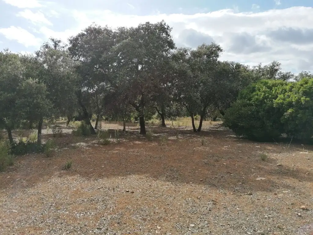 Casa rústica en venda a Arcos de la Frontera, imagen 22