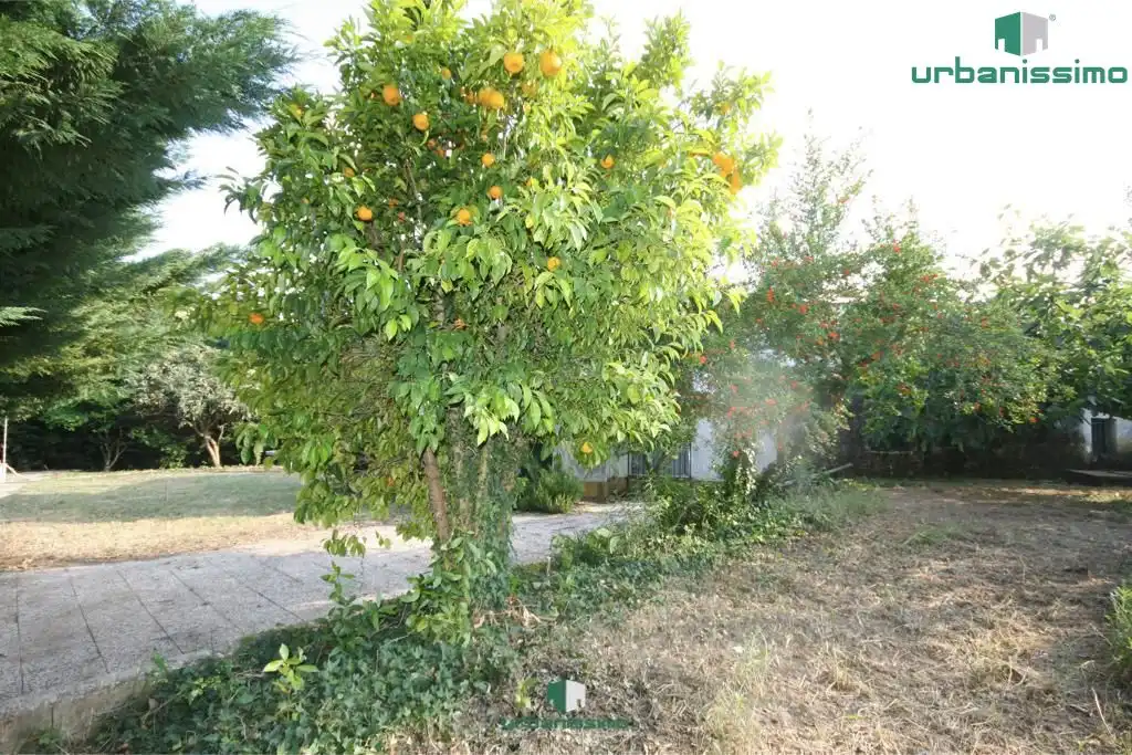 Garden of Country homes for sale in Aldeanueva de la Vera  with Private garden and Swimming Pool