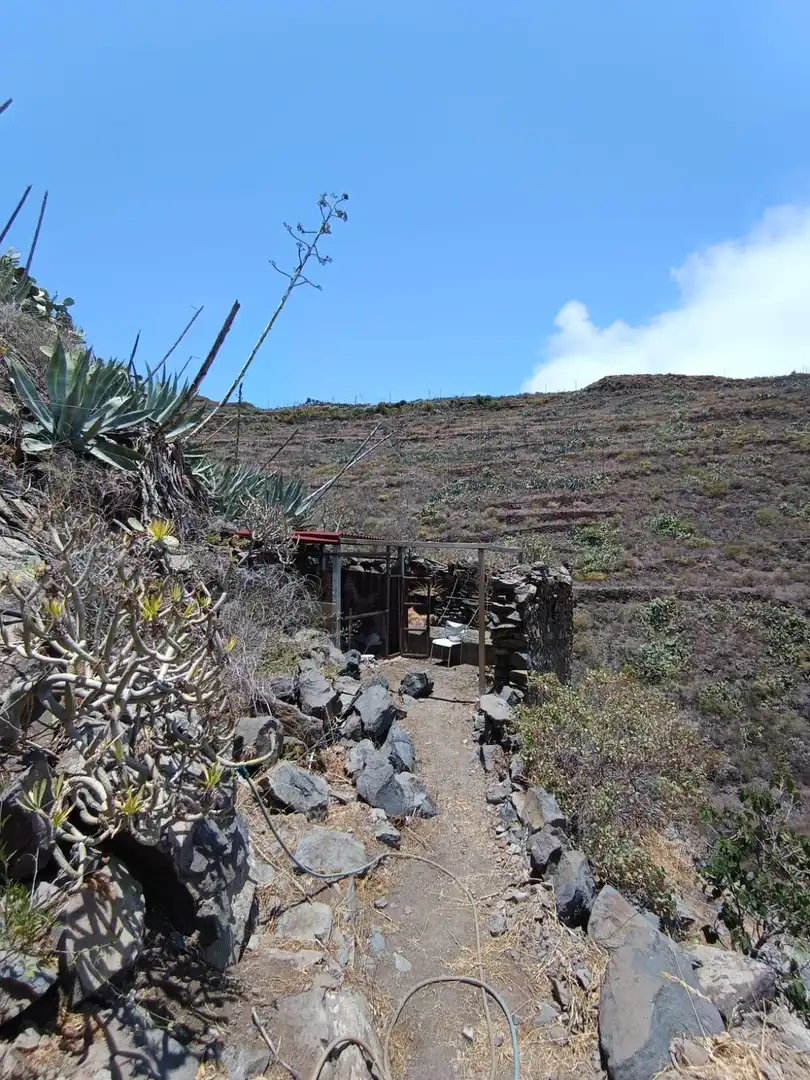 Vista exterior de Finca rústica en venta en Valsequillo de Gran Canaria con Terraza