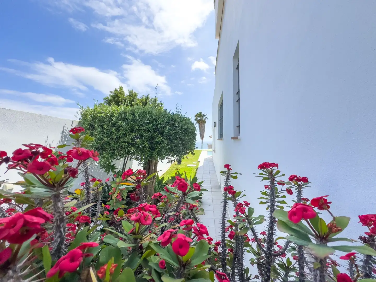 Chalet con jardín en venta en Calle Centolla 313, imagen 14
