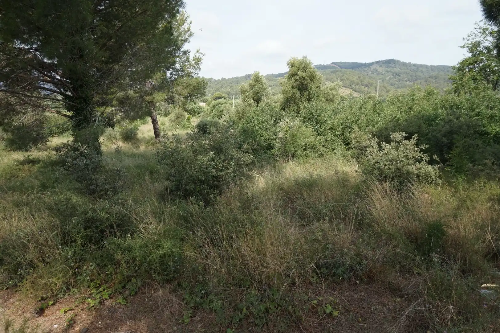 Maison rustique à vendre à Les Borges del Camp, imagen 15