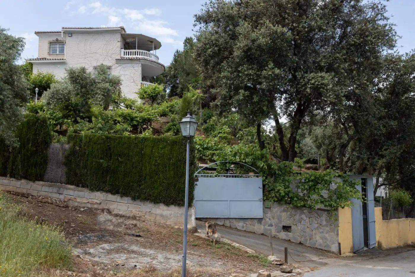 Vista exterior de Casa o chalet en venta en Dúdar con Aire acondicionado, Calefacción y Jardín privado