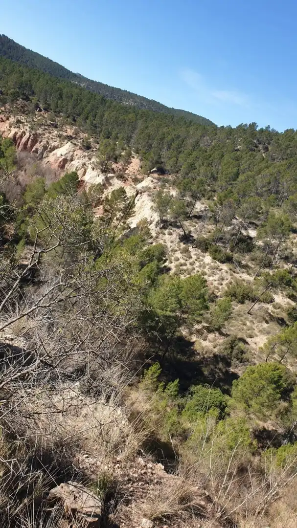 Terrain résidentiel à vendre à Requena, imagen 18