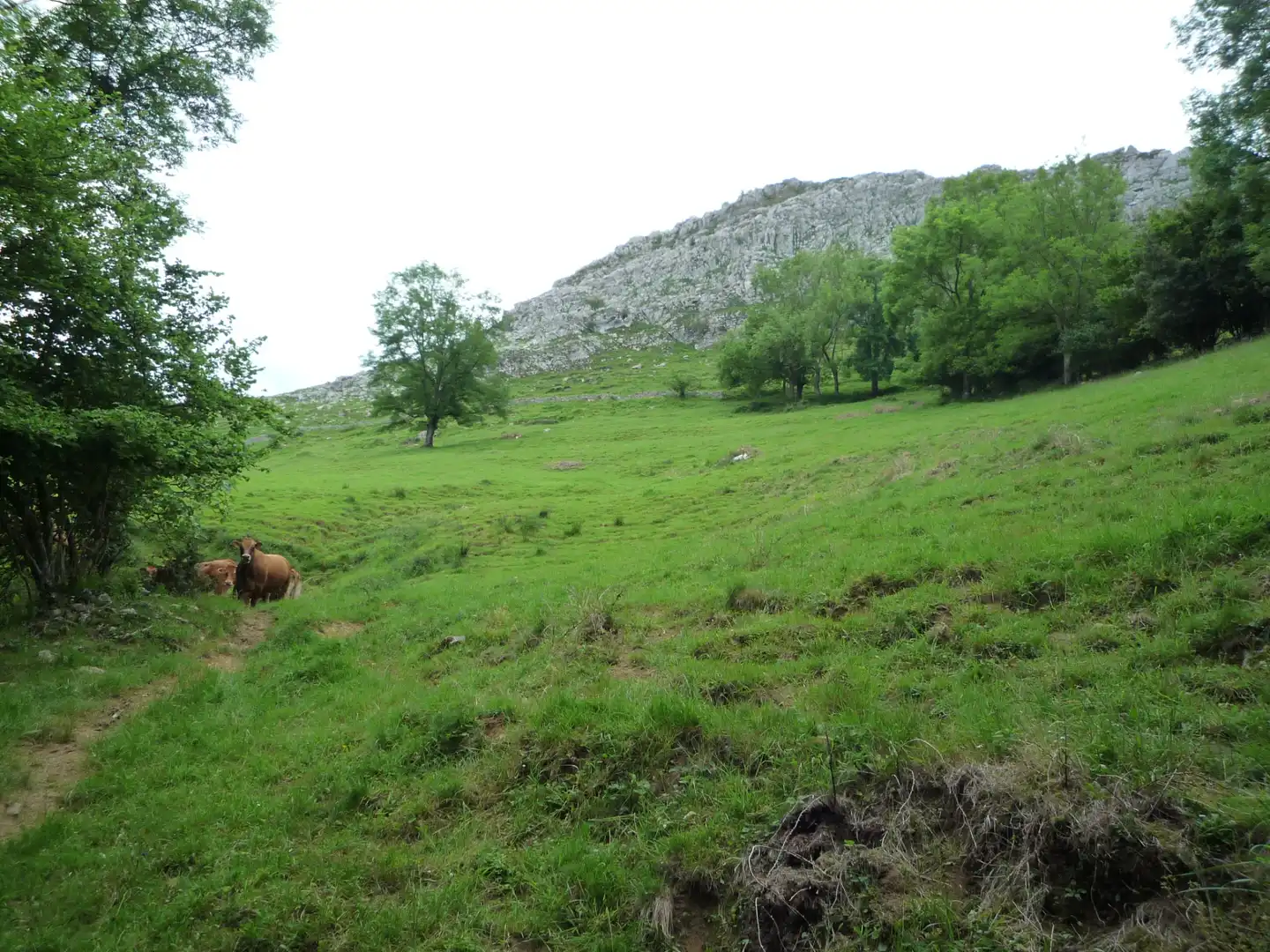 Terreno rustico in vendita a Liérganes, imagen 2