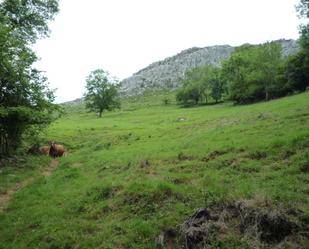 Land for sale in Liérganes