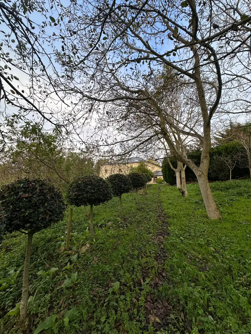 Edifici en venda a Mondoñedo